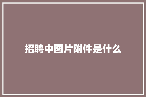招聘中图片附件是什么