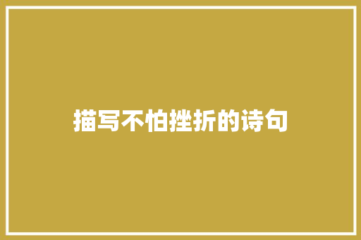 描写不怕挫折的诗句