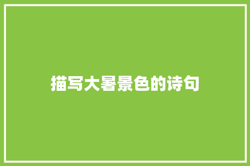 描写大暑景色的诗句