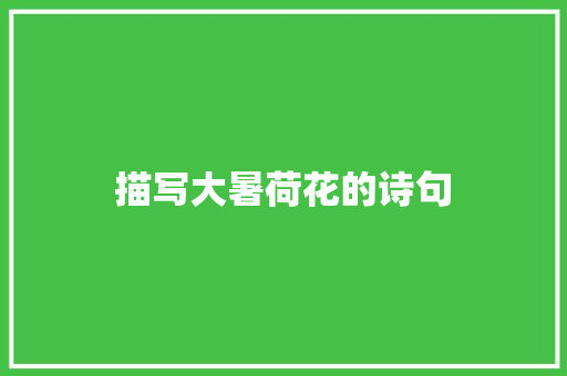 描写大暑荷花的诗句