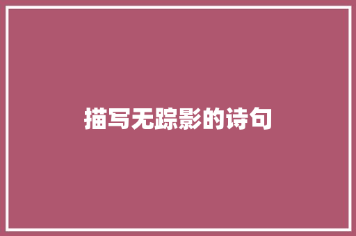 描写无踪影的诗句