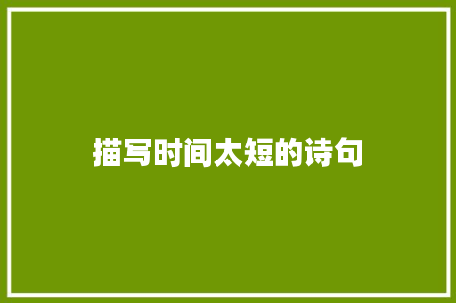 描写时间太短的诗句 诗歌范文