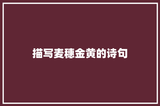描写麦穗金黄的诗句