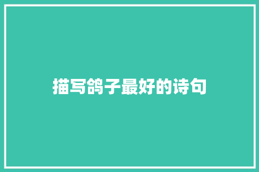 描写鸽子最好的诗句