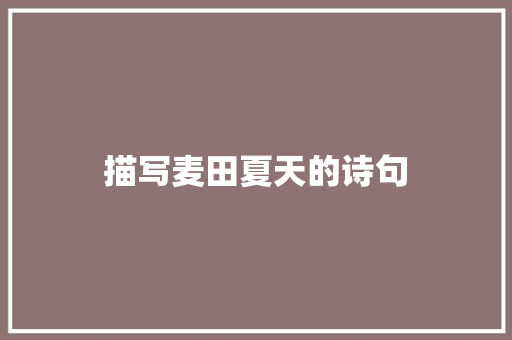 描写麦田夏天的诗句