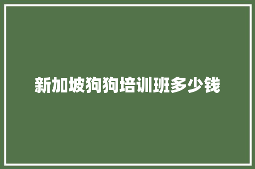 新加坡狗狗培训班多少钱