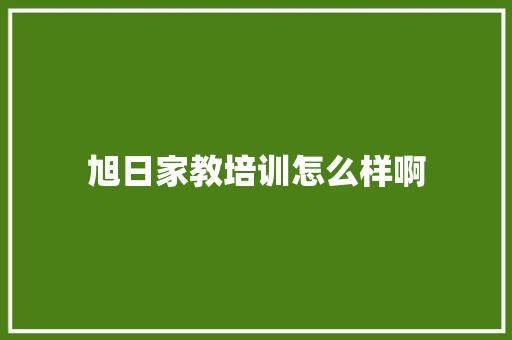 旭日家教培训怎么样啊