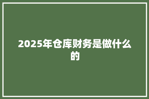 2025年仓库财务是做什么的