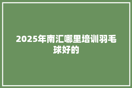 2025年南汇哪里培训羽毛球好的