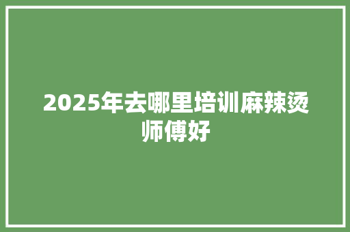 2025年去哪里培训麻辣烫师傅好 说明文范文