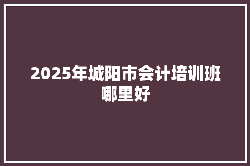 2025年城阳市会计培训班哪里好