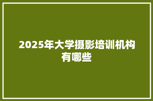 2025年大学摄影培训机构有哪些