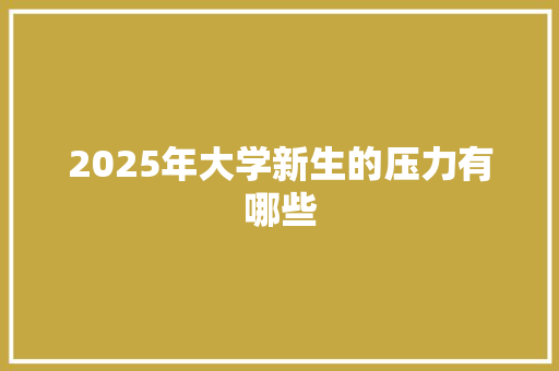 2025年大学新生的压力有哪些