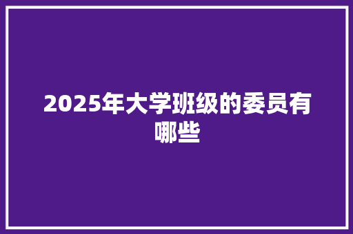 2025年大学班级的委员有哪些