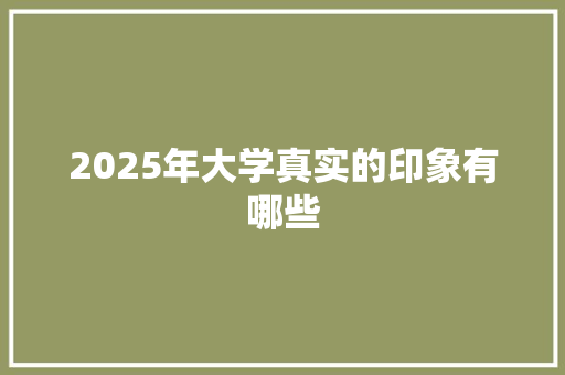 2025年大学真实的印象有哪些 商业计划书范文