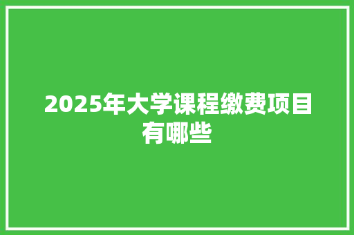 2025年大学课程缴费项目有哪些