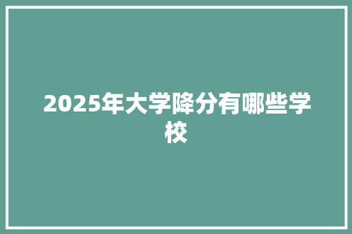 2025年大学降分有哪些学校