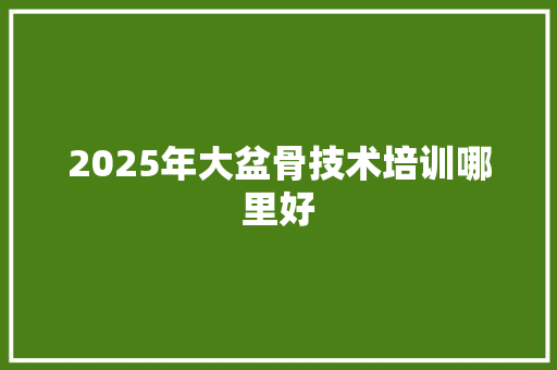 2025年大盆骨技术培训哪里好