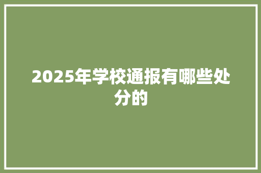 2025年学校通报有哪些处分的