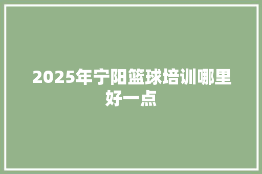 2025年宁阳篮球培训哪里好一点