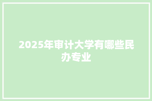 2025年审计大学有哪些民办专业 应用文范文