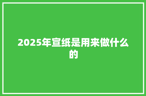 2025年宣纸是用来做什么的