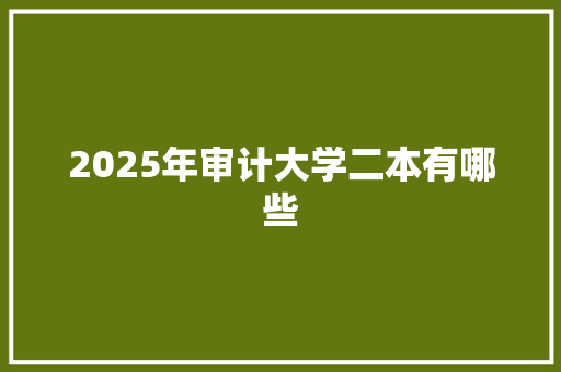 2025年审计大学二本有哪些 简历范文
