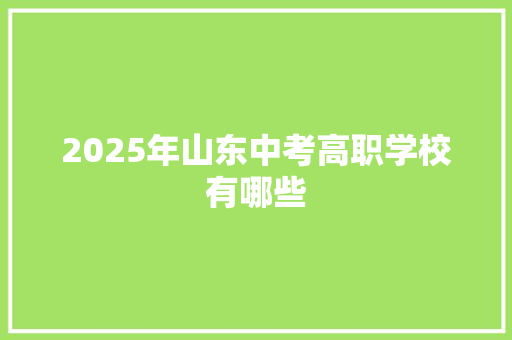 2025年山东中考高职学校有哪些
