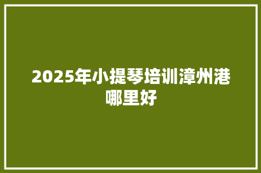 2025年小提琴培训漳州港哪里好 演讲稿范文