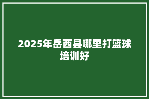 2025年岳西县哪里打篮球培训好 商业计划书范文