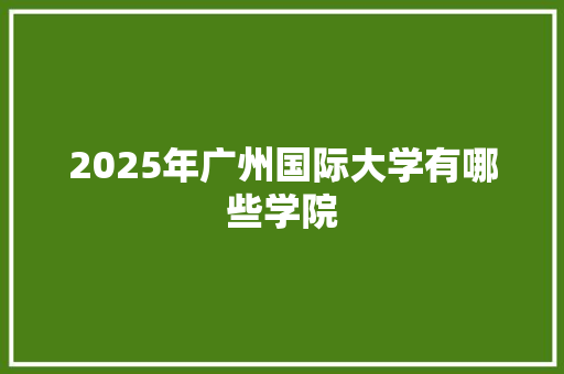 2025年广州国际大学有哪些学院