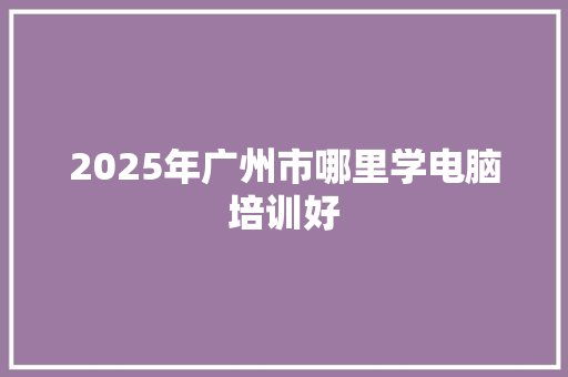2025年广州市哪里学电脑培训好