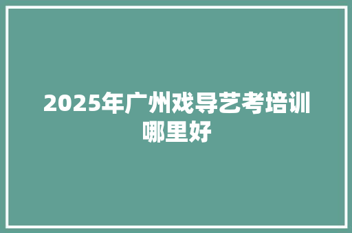 2025年广州戏导艺考培训哪里好