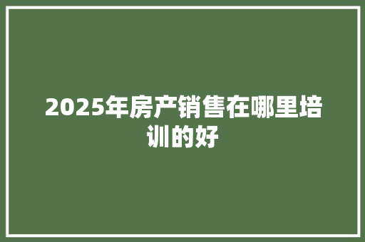2025年房产销售在哪里培训的好 简历范文