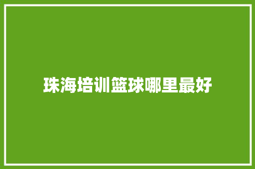 珠海培训篮球哪里最好