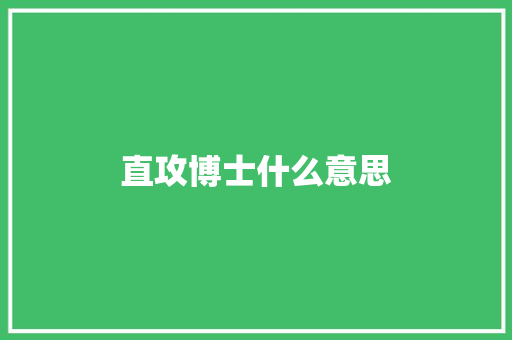 直攻博士什么意思
