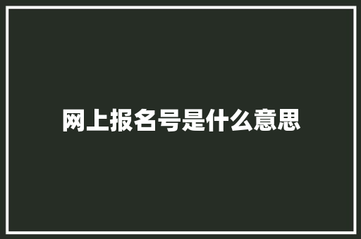 网上报名号是什么意思