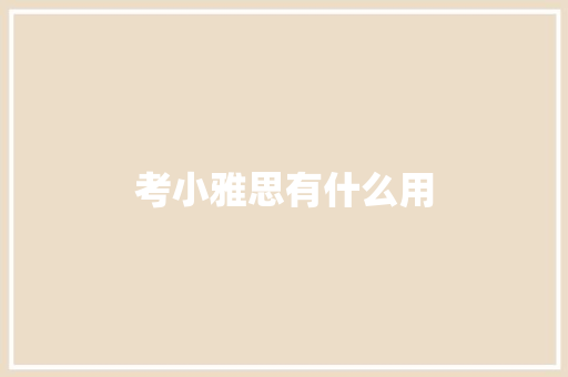 考小雅思有什么用
