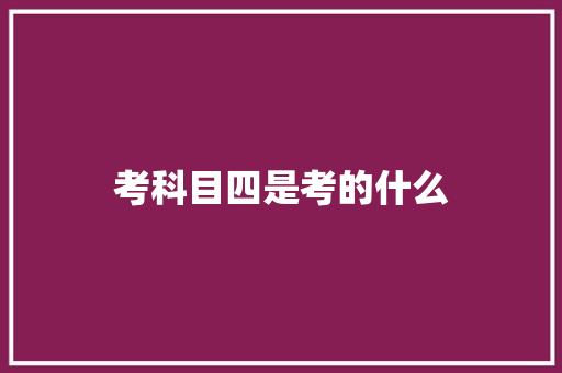 考科目四是考的什么