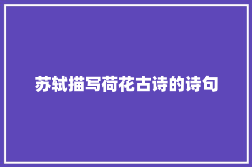 苏轼描写荷花古诗的诗句