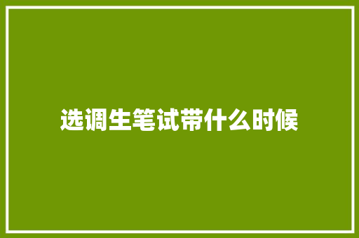 选调生笔试带什么时候