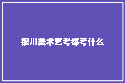 银川美术艺考都考什么