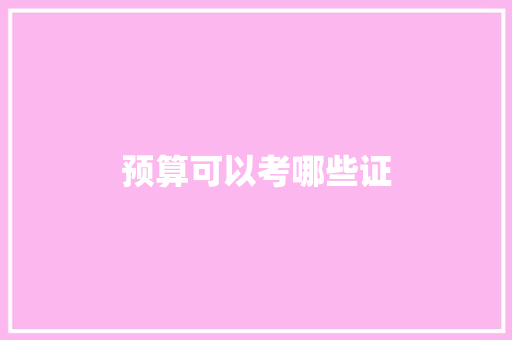 预算可以考哪些证