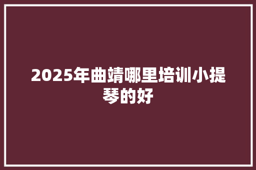 2025年曲靖哪里培训小提琴的好