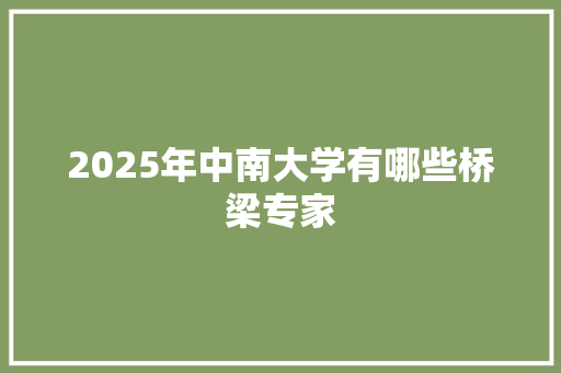 2025年中南大学有哪些桥梁专家