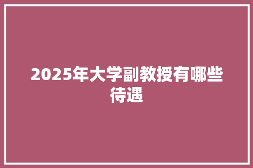 2025年大学副教授有哪些待遇