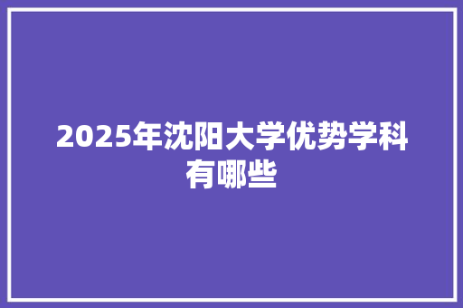 2025年沈阳大学优势学科有哪些