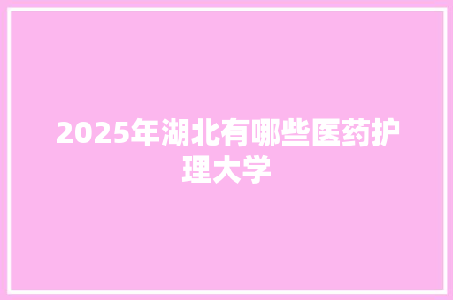 2025年湖北有哪些医药护理大学