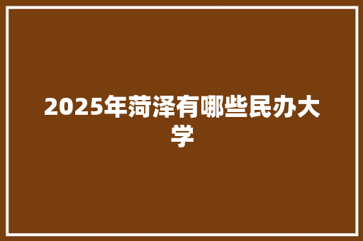 2025年菏泽有哪些民办大学
