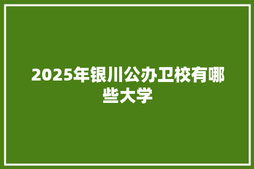 2025年银川公办卫校有哪些大学 演讲稿范文